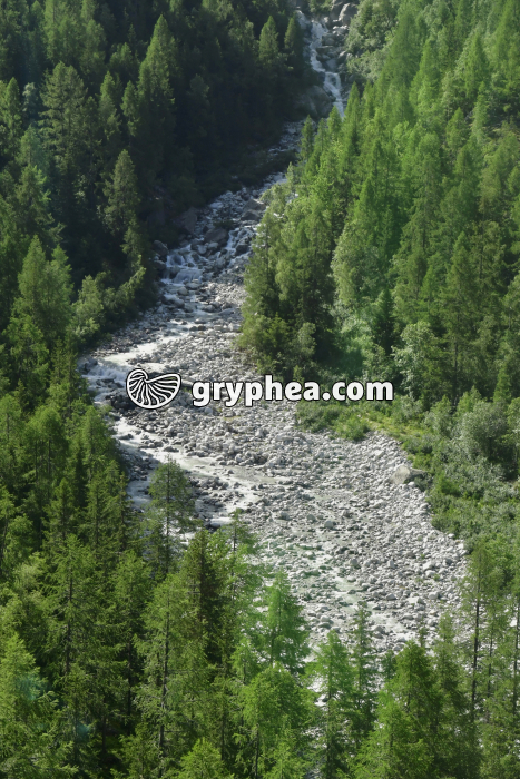 Torrent glaciaire (Glacier d'Argentière) - gryphea.org